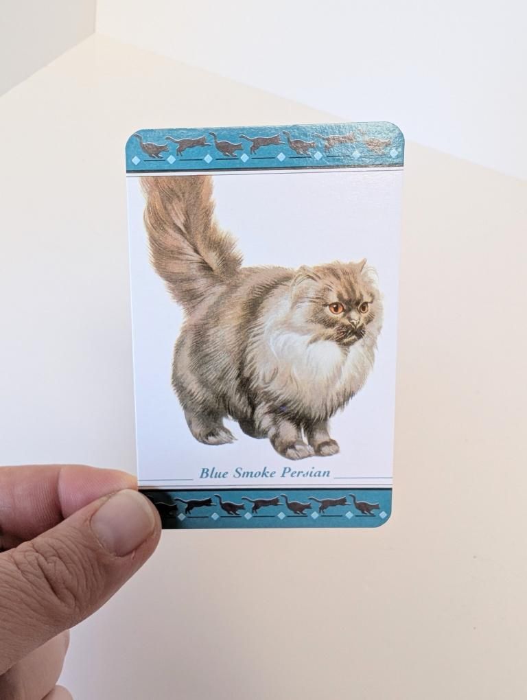 Cat Breed Collector Cards x36