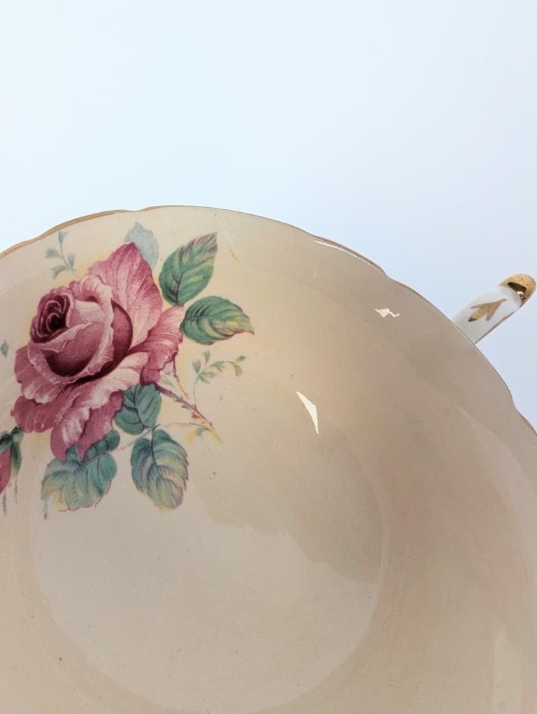 Two Rare Peachy-Pink Double Warrant Pink Cabbage Rose Paragon Tea Cups with Saucers