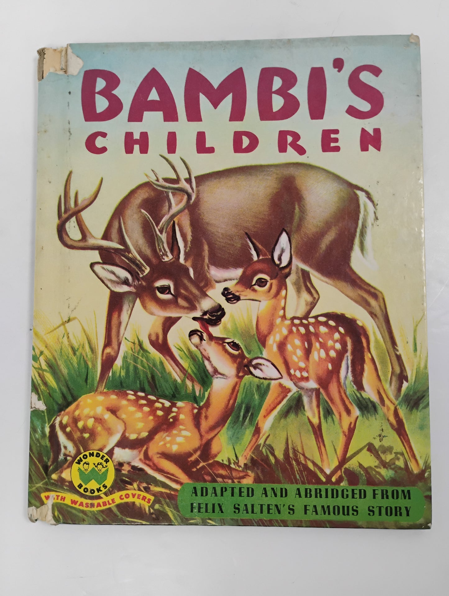 Vintage Childrens Books Bundle