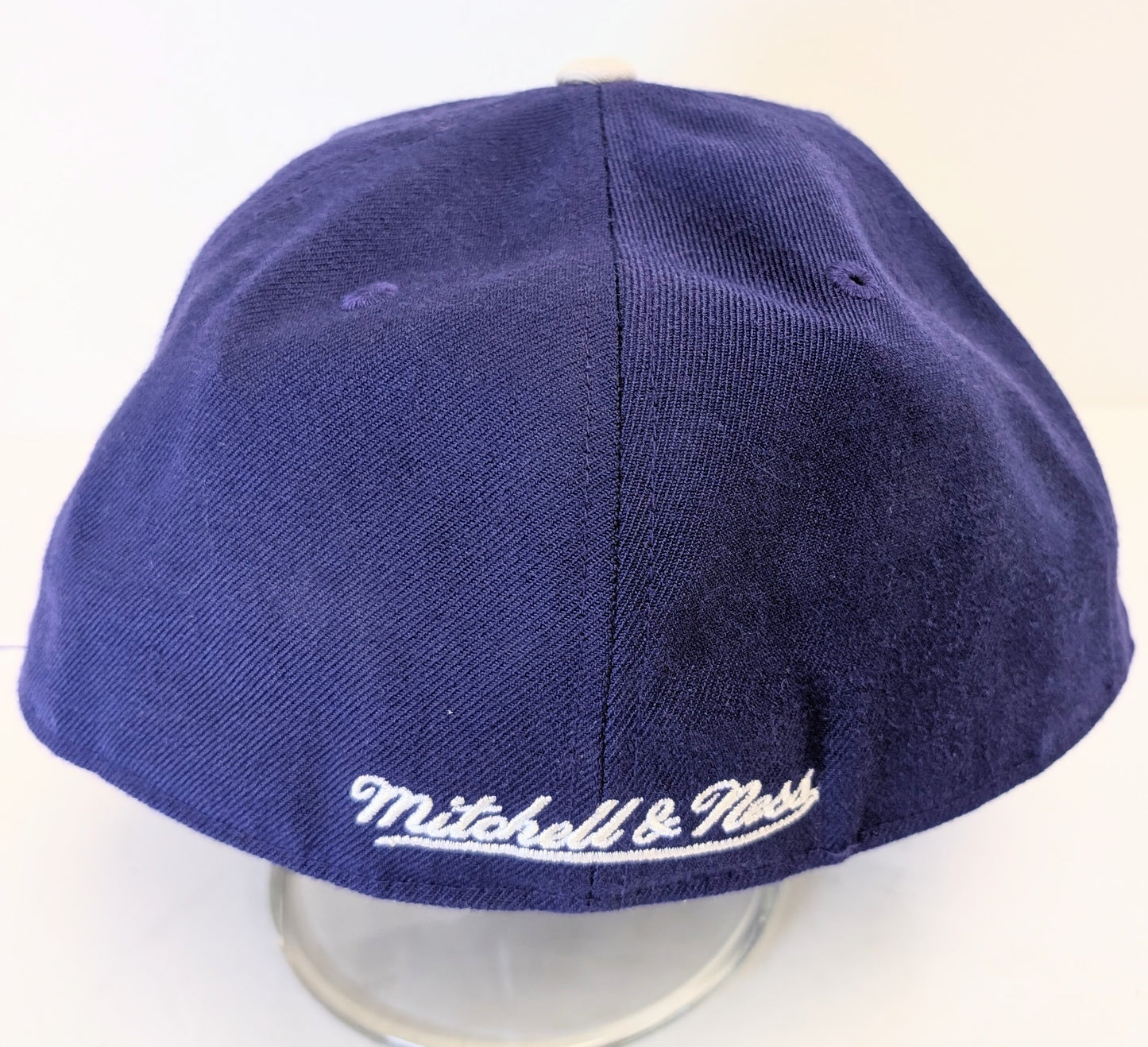 Michelle & Ness NBA Toronto Raptor snapback osfa