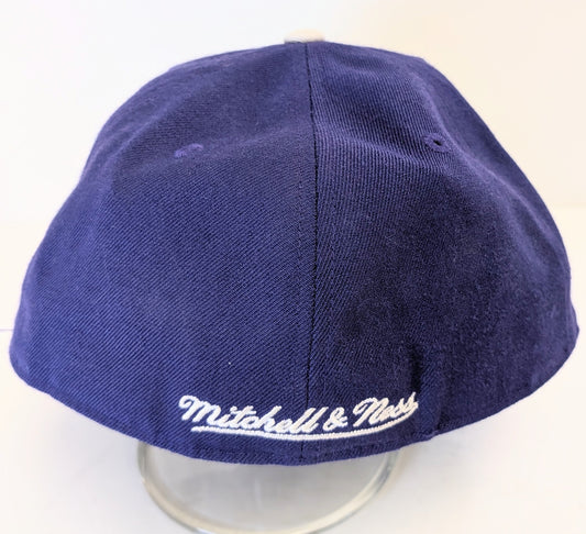 Michelle & Ness NBA Toronto Raptor snapback osfa